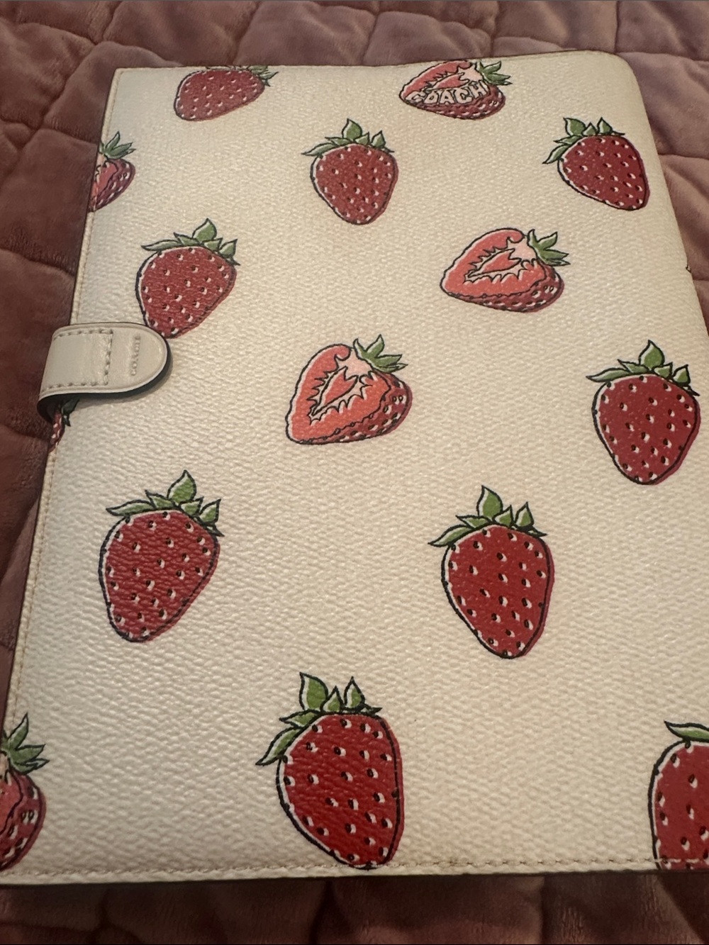 NEW Coach Leather Cream Color and Strawberry Print Notebook - Picture 11 of 12